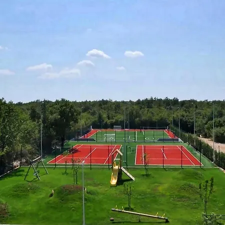 Elena Ровинь